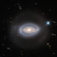 This luminous Picture of the Week shows Z 229-15 — imaged here in beautiful detail by the NASA/ESA Hubble Space Telescope — a celestial object that lies about 390 million light-years from Earth in the constellation Lyra. Z 229-15 is one of those interesting celestial objects that, should you choose to research it, you will find defined as several different things: sometimes as an active galactic nucleus (an AGN); sometimes as a quasar; and sometimes as a Seyfert galaxy. Which of these is Z 229-15 really? The answer is that it is all of these things all at once, because these three definitions have significant overlap.  AGNs and quasars are both described in detail in the Hubble Word Bank, but in essence an AGN is a small region at the heart of certain galaxies (called active galaxies) that is far brighter than just the galaxy’s stars would be. The extra luminosity is due to the presence of a supermassive black hole at the galaxy’s core. Material sucked into a black hole actually doesn’t fall directly into it, but instead is drawn into a swirling disc, from where it is inexorably tugged towards the black hole. This disc of matter gets so hot that it releases a large amount of energy across the electromagnetic spectrum, and that’s what makes AGNs appear so bright.  Quasars are a particular type of AGN; they are typically both extremely bright and extremely distant from Earth — several hundred million light-years is considered nearby for a quasar, making Z 229-15 positively local. Often an AGN is so bright that the rest of the galaxy cannot be seen, but Seyfert galaxies are active galaxies that host very bright AGNs (quasars) while the rest of the galaxy is still observable. So Z 229-15 is a Seyfert galaxy that contains a quasar, and that, by definition, hosts an AGN. Classification in astronomy can be a challenge! [Image Description: A spiral galaxy. It has two almost-straight arms coming from the left and right of the core that meet a starry ring arou